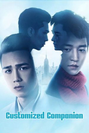 Customized Companion (2017) poster