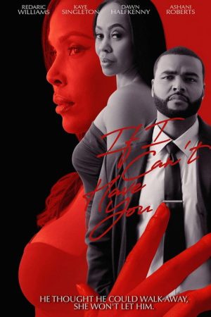 If I Can’t Have You (2026) poster