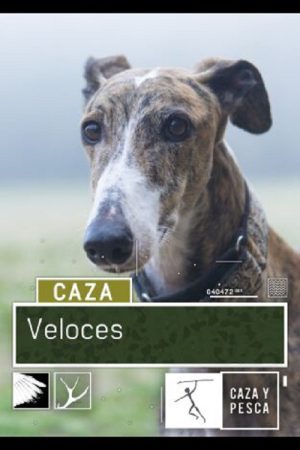 Veloces (2018) (2018) poster