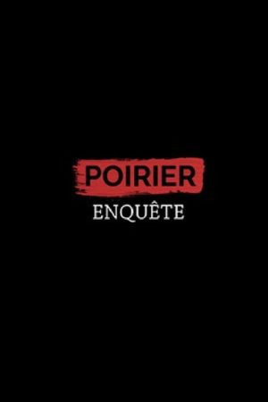 Poirier enquête (2016) poster