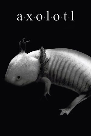 Axolotl (2018) poster