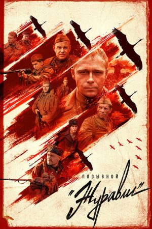 Call Sign «Cranes» (2023) poster