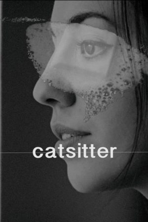 Catsitter (2017) poster