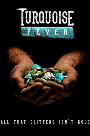 Turquoise Fever (2019) poster