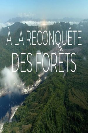 À la reconquête des forêts (2017) poster