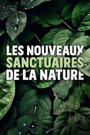 Nationalparks der Zukunft (2020) poster