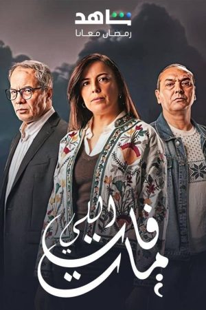 Elli Fat Mat (2025) poster