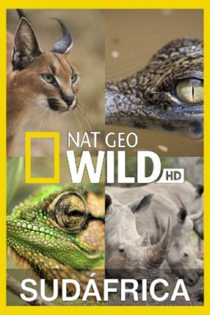 Wild South Africa (2016) poster