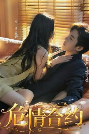 危情合约 (2025) poster