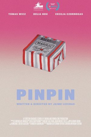 PINPIN (2021) poster