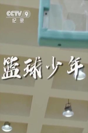 篮球少年 (2020) poster