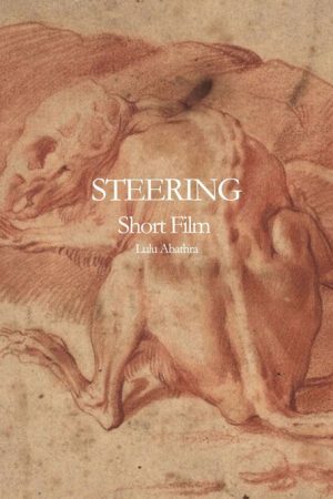 Steering (2024) poster