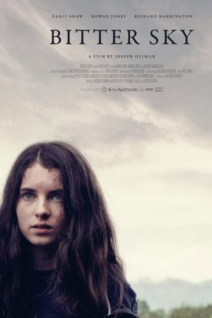 Bitter Sky (2019) poster
