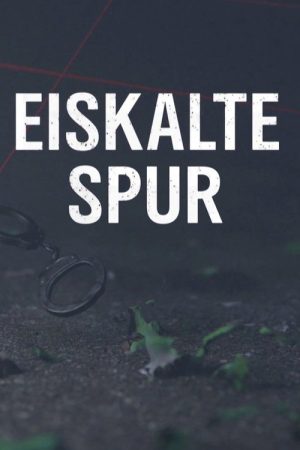 Eiskalte Spur (2020) poster