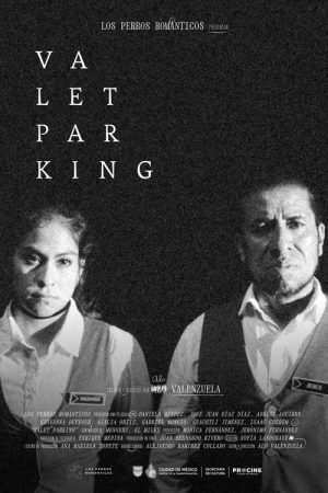 Valet parking (2026) poster