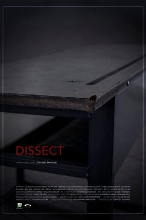 Dissect (2019) poster