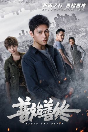 Never Say Never (2019) poster