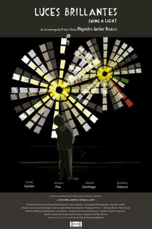 Shine a Light (2016) poster