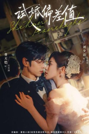 试婚偏差值 (2026) poster