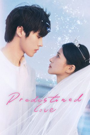 Predestined Love (2026) poster