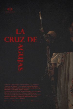 The Needle Cross (2017) poster