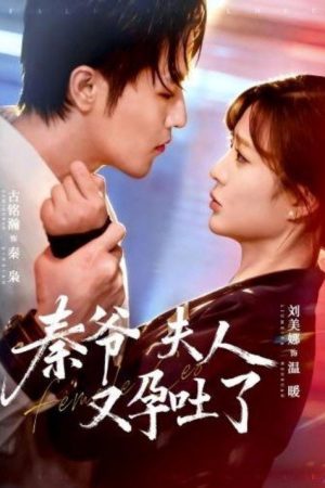 秦爷夫人又孕吐了 (2026) poster