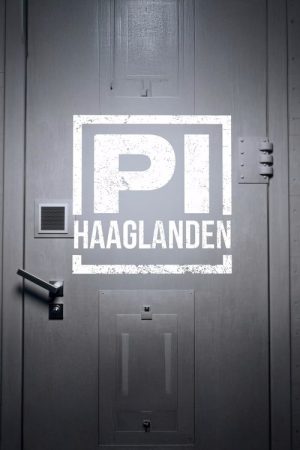 P.I. Haaglanden (2025) poster