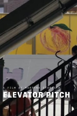 Elevator Pitch (2020) poster