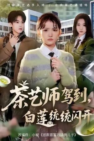茶艺师驾到，白莲统统闪开 (2026) poster