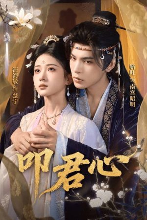 叩君心 (2025) poster
