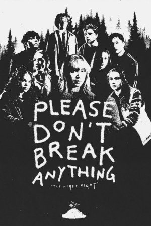 Please Don’t Break Anything (2026) poster