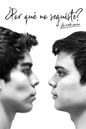 Why didn’t you go on? (2018) poster