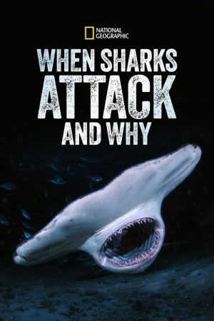 When Sharks Attack… and Why (2023) poster
