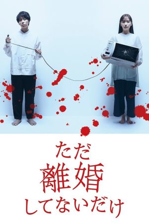 We Are Just Not Divorced (2021) poster