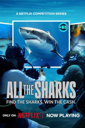 All the Sharks (2025) poster