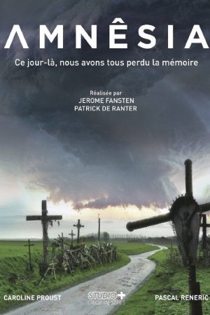 Amnêsia (2016) poster