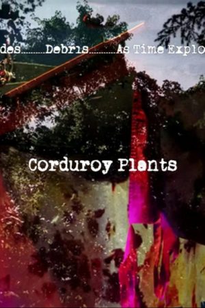 Corduroy Plants (2026) poster