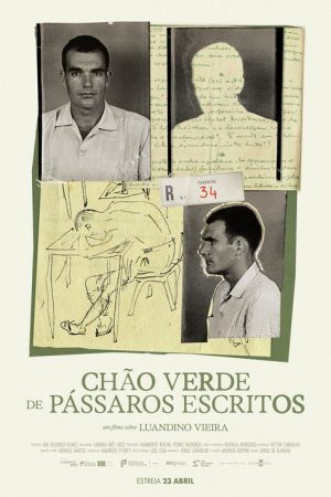 Chão Verde de Pássaros Escritos (2026) poster