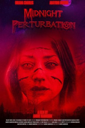 Midnight Perturbation (2025) poster