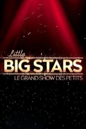Little Big Stars FR (2018) poster