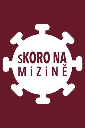 sKORO NA mizině (2020) poster