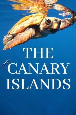 The Canary Islands (2023) poster
