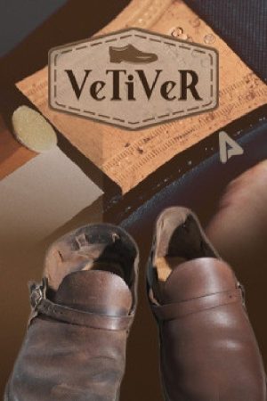 VeTiVeR (2020) poster