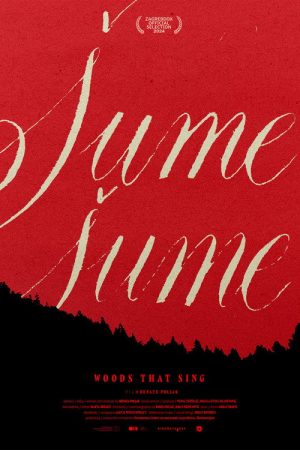Woods That Sing (2024) poster
