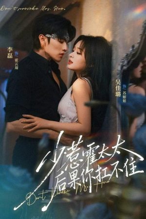 少惹霍太太，后果你扛不住 (2026) poster