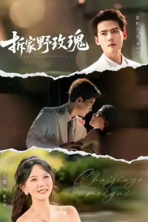 拆家野玫瑰 (2026) poster