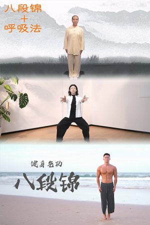 八段锦 合集 (2023) poster