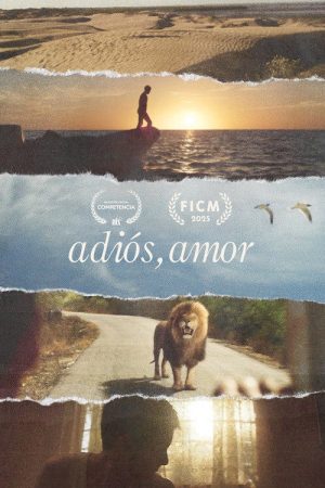 Goodbye, Love (2025) poster