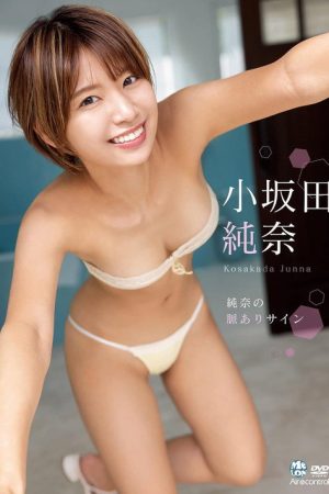 純奈の脈ありサイン 小坂田純奈 Aircontrol (2022) poster