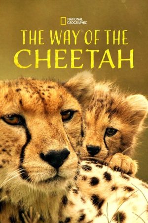 The Way of the Cheetah (2022) poster